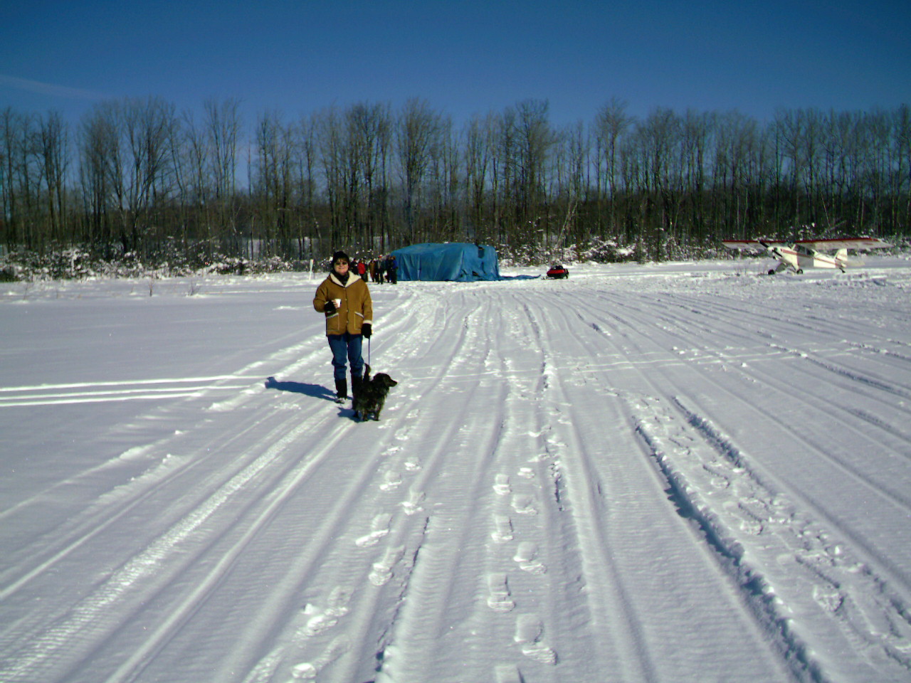 ski plane fly in 021106 006
