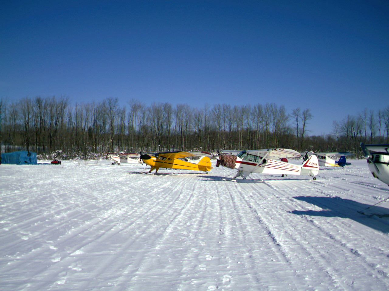 ski plane fly in 021106 008